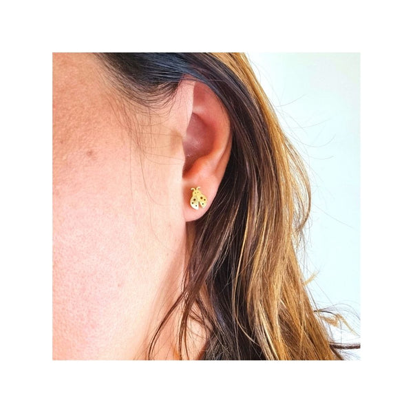 Pendientes Mariquita / Ladybug